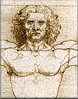 Croquis de L&eacute;onard de Vinci, L'homme de Vitruve